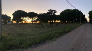 Terreno em Montijo