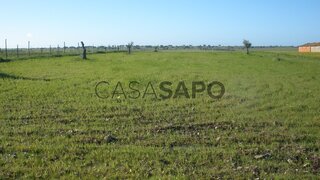 Land for sale in Reguengos de Monsaraz, Portugal — €20,000