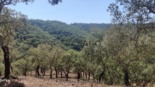 Terreno · 67 750 m² · 170 000 €