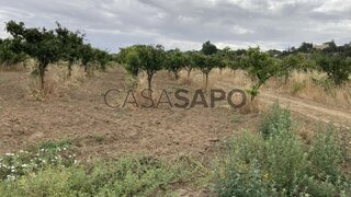 Land for sale in Palmela, Portugal — €290,000