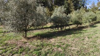 Land for sale in Fafe, Portugal — €48,500