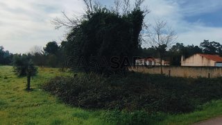 Land for sale in Oliveira do Bairro, Portugal — €49,900
