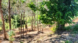 Terreno para venda em Mealhada, Portugal — 29 500 €