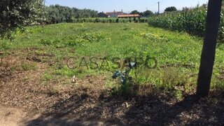 Land for sale in Anadia, Portugal — €45,000