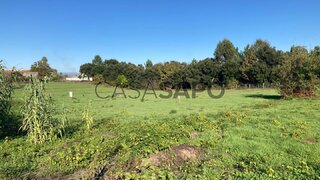 Terreno para venda em Oliveira do Bairro, Portugal — 110 000 €