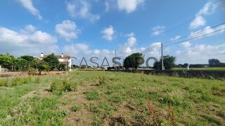 Land for sale in Oliveira do Bairro, Portugal — €40,000