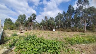Land for sale in Oliveira do Bairro, Portugal — €55,000