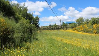 Land for sale in Macedo de Cavaleiros, Portugal — €80,000