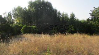 Terreno em Oliveira do Bairro · 2320 m² · 60 000 €