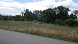 Land for sale in Anadia, Portugal — €80,000