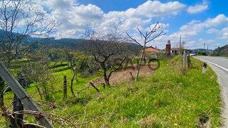 Land for sale in Sever do Vouga, Portugal — €40,000