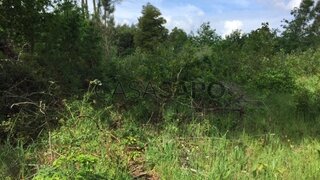 Terreno para venda em Oliveira do Bairro, Portugal — 13 000 €