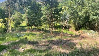 Land for sale in Arcos de Valdevez, Portugal — €18,000