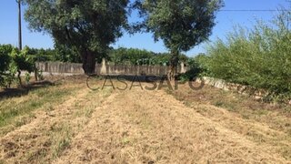 Land for sale in Anadia, Portugal — €40,000