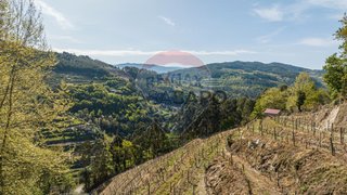 Terreno para venda em Celorico de Basto, Portugal — 30 000 €
