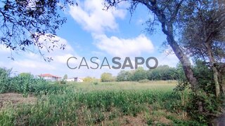 Terreno para venda em Oliveira do Bairro, Portugal — 45 000 €