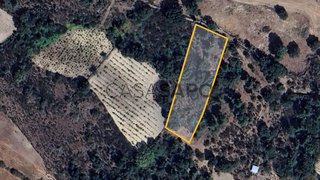 Terreno · 2800 m² · 3500 €