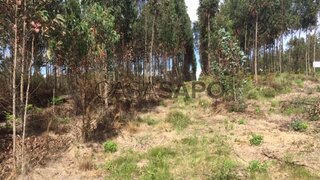 Land for sale in Oliveira do Bairro, Portugal — €65,000