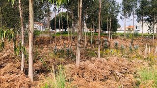 Land for sale in Espinho, Portugal — €65,000