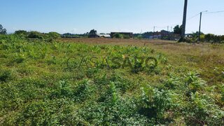 Land for sale in Oliveira do Bairro, Portugal — €220,000