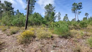 Terreno · 9906 m² · 11 500 €