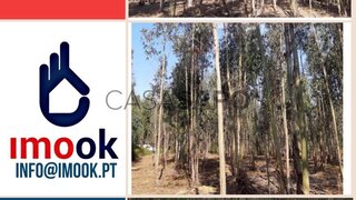 Land for sale in Águeda, Portugal — €21,500