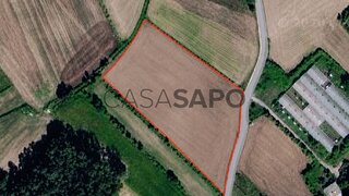 Terreno em Barcelos · 13 600 m² · 99 500 €