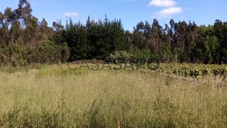 Terreno · 1900 m² · 9000 €