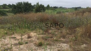 Land for sale in Anadia, Portugal — €55,000
