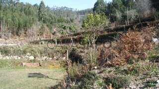 Land for sale in Sever do Vouga, Portugal — €91,000