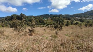 Land for sale in Vila Pouca de Aguiar, Portugal — €16,000