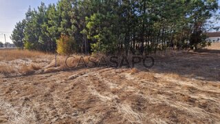 Land for sale in Ílhavo, Portugal — €80,000