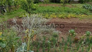 Terreno para venda em Águeda, Portugal — 33 500 €