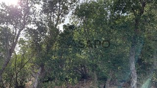 Land for sale in Monchique, Portugal — €30,000