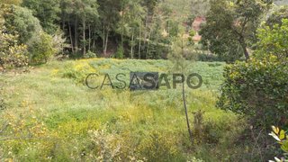Land for sale in Monchique, Portugal — €34,500