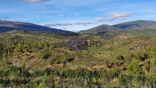Terreno em Faro · 216 500 m² · 148 000 €