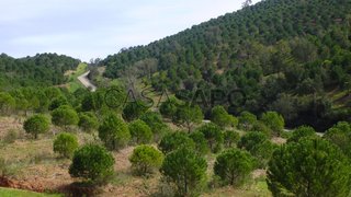 Terreno para venda em Silves, Portugal — 260 000 €