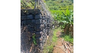 Land for sale in Ribeira Brava, Portugal — €65,000