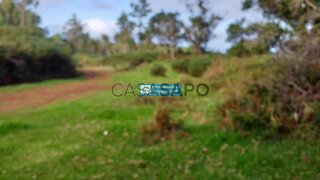 Land for sale in Porto Moniz, Portugal — €75,000