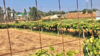 Terreno em Paredes · 3600 m² · 285 000 €