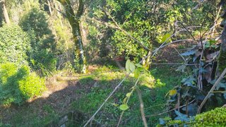 Terreno em Valongo