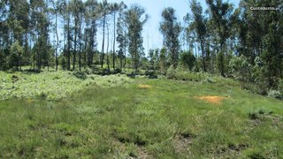 Land for sale in Santo Tirso, Portugal — €53,700
