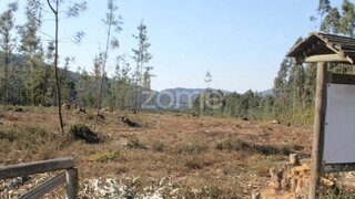 Land for sale in Paredes, Portugal — €75,000