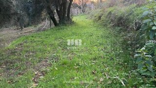 Land for sale in Penafiel, Portugal — €73,000