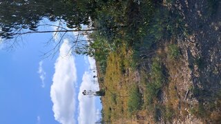 Terreno em Penafiel · 7000 m² · 7000 €