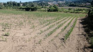 Land for sale in Penafiel, Portugal — €35,000