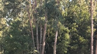 Land for sale in Vila Nova de Gaia, Portugal — €62,000
