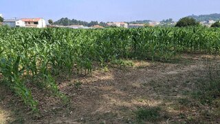 Land for sale in Vila Nova de Gaia, Portugal — €570,000