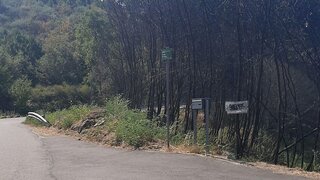 Land for sale in Baião, Portugal — €41,500