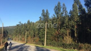 Land for sale in Paredes, Portugal — €74,000
